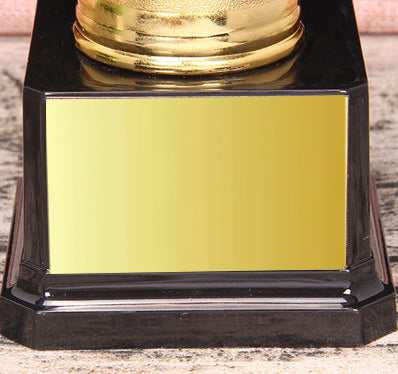 Excellence Award/Best Award Ⅱ