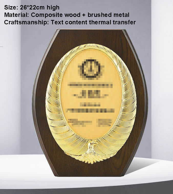CUSTOM PLAQUES Ⅴ(Award Plaque, License Plaque, Authorization Plaque)