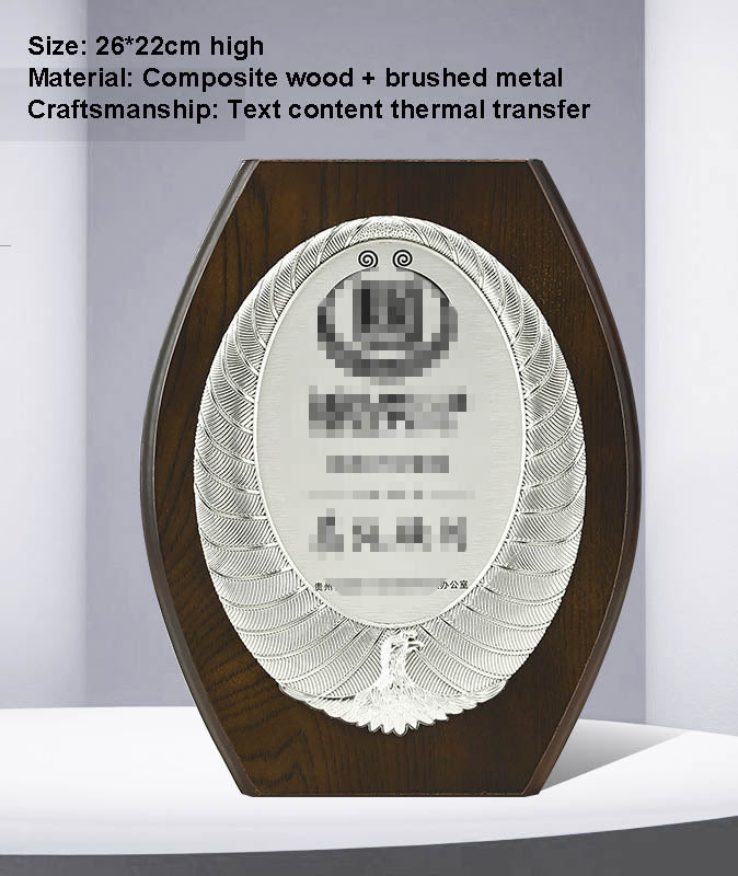 CUSTOM PLAQUES Ⅴ(Award Plaque, License Plaque, Authorization Plaque)