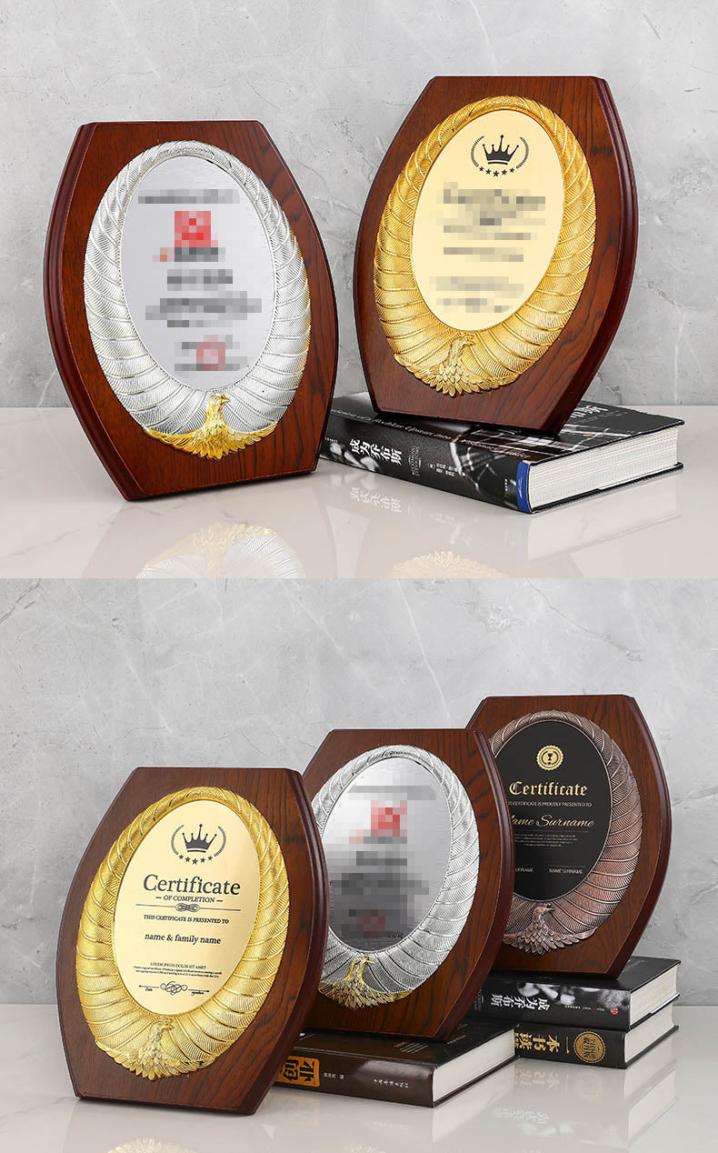 CUSTOM PLAQUES Ⅴ(Award Plaque, License Plaque, Authorization Plaque)