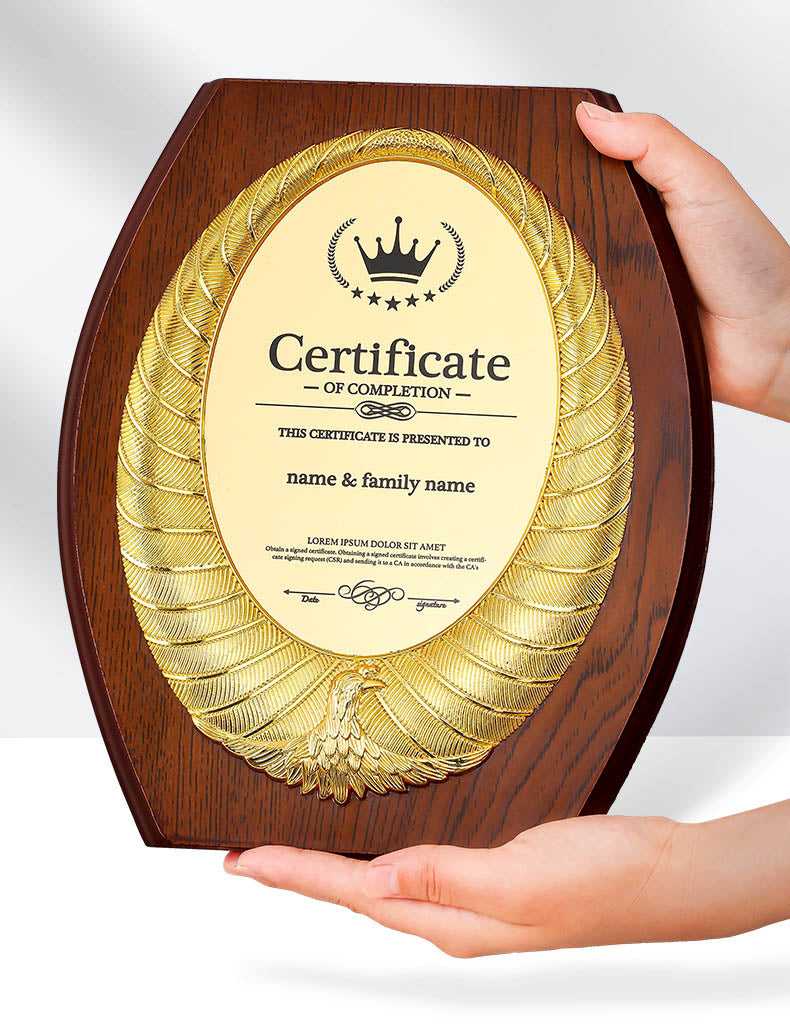 CUSTOM PLAQUES Ⅴ(Award Plaque, License Plaque, Authorization Plaque)