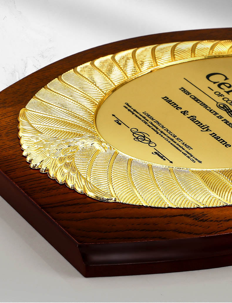 CUSTOM PLAQUES Ⅴ(Award Plaque, License Plaque, Authorization Plaque)
