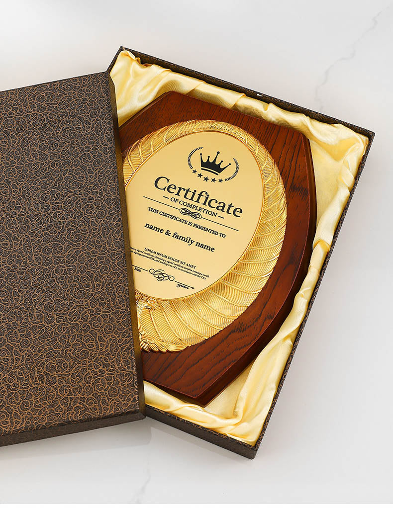 CUSTOM PLAQUES Ⅴ(Award Plaque, License Plaque, Authorization Plaque)