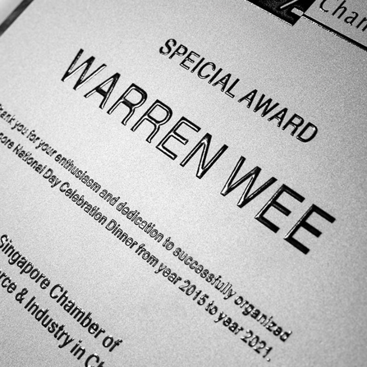 CUSTOM PLAQUES Ⅶ(Award Plaque, License Plaque, Authorization Plaque)