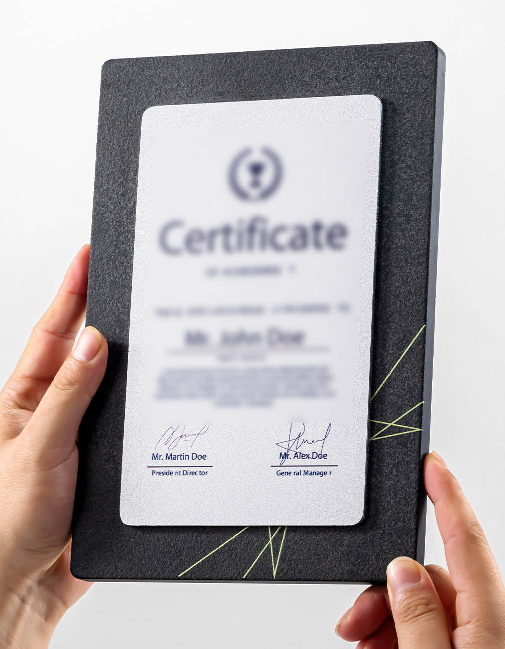 CUSTOM PLAQUES Ⅶ(Award Plaque, License Plaque, Authorization Plaque)