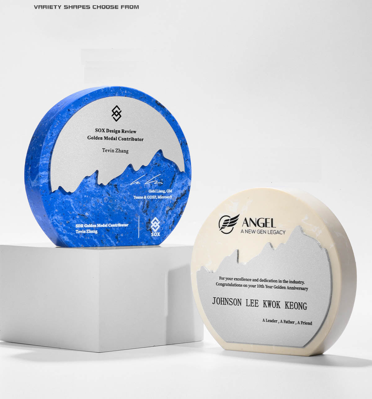 CUSTOM PLAQUES Ⅶ(Award Plaque, License Plaque, Authorization Plaque)