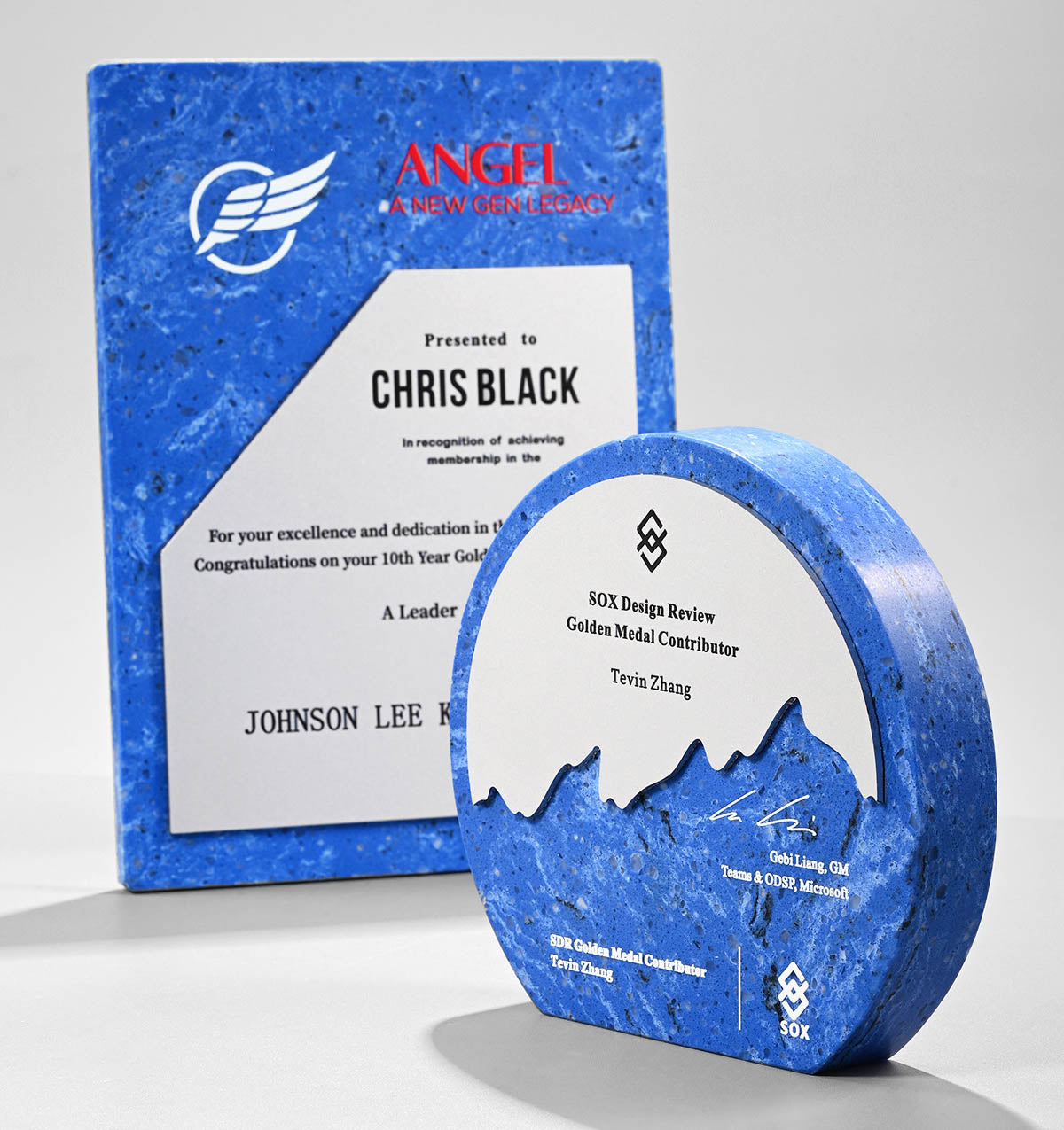 CUSTOM PLAQUES Ⅶ(Award Plaque, License Plaque, Authorization Plaque)