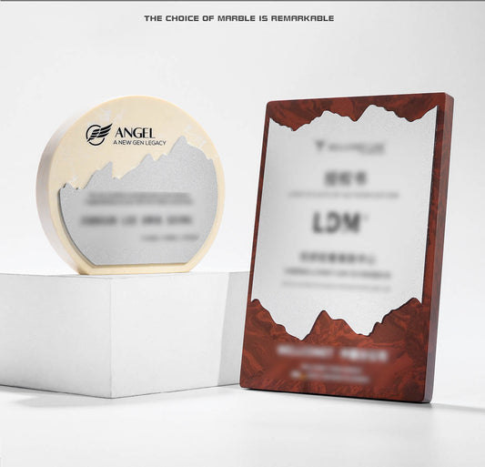 CUSTOM PLAQUES Ⅶ（Award Plaque, License Plaque, Authorization Plaque)